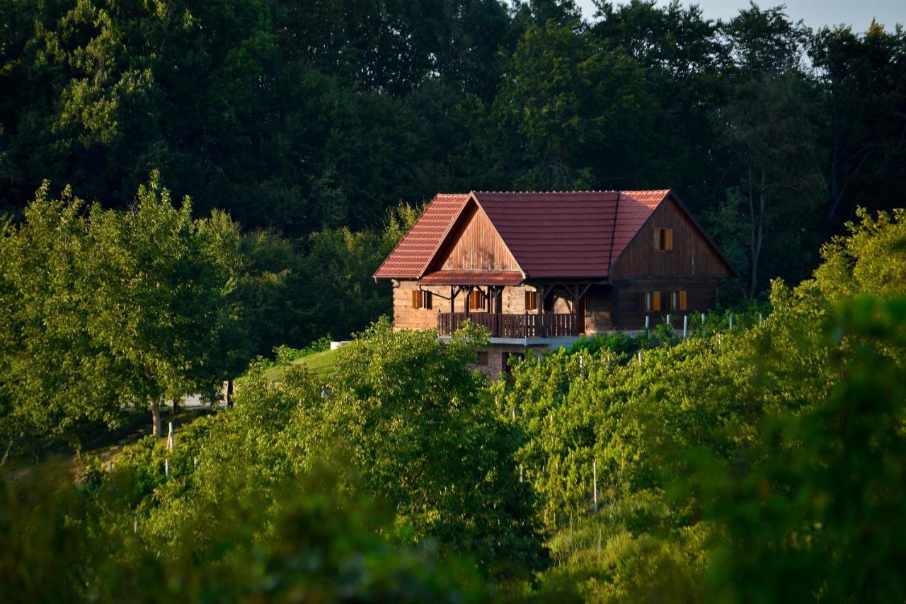 Green Silence Bedenica Exterior photo